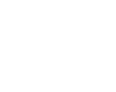 Toppik